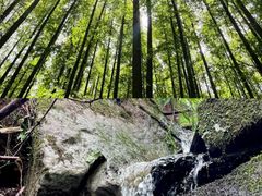 -山王坪喀斯特国家生态公园