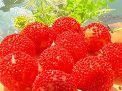 -徐岛主·特色农家乐(阳澄湖莲花岛店)