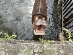 -海南热带野生动植物园
