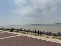 -观潮胜地公园