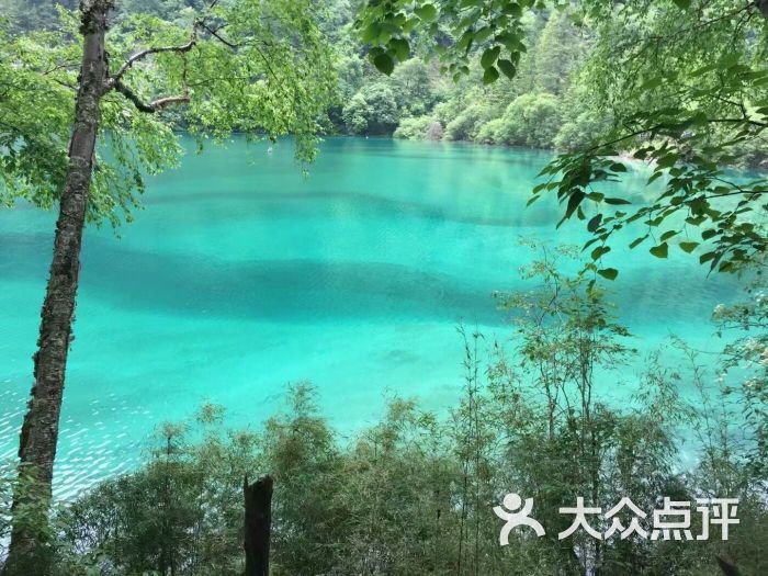 魔指仙境-图片-成都休闲娱乐-大众点评网