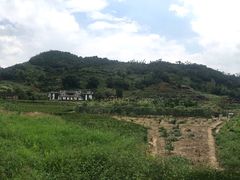 -福建土楼（华安）旅游区•大地土楼群