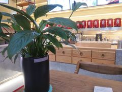 -1828王老吉·草本新茶(珠江新城地铁站店)