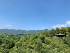-陶祖圣境风景区