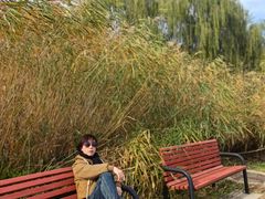 -奥林匹克森林公园北园-停车场