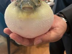-肆月河豚·新淮扬(金融街店)