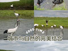 -黑龙江扎龙生态旅游区