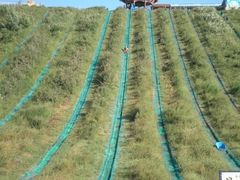 景点-南戴河国际娱乐中心