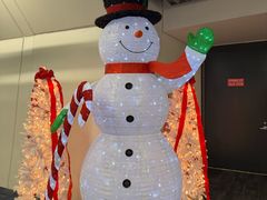 -华盛顿杜勒斯国际机场