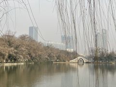 -浮庄