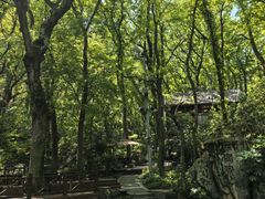 -句容茅山景区