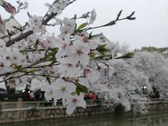 -常熟方塔园