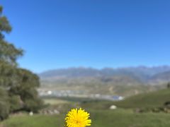 -新疆那拉提国家旅游度假区