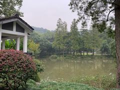 -杭州花家山庄