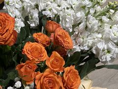 -循礼门鲜花花市(武汉循礼门店)