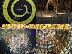 -中国西峡恐龙遗迹园