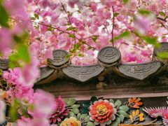 -深圳国际园林花卉博览园