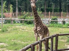 -北京野生动物园