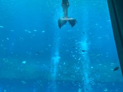 -亚龙湾海底世界