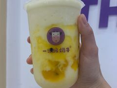 -一只酸奶牛(摩根吾悦广场店)