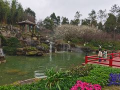 -秀丽东方