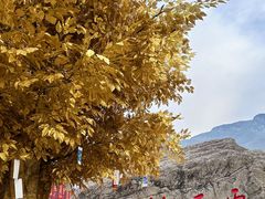 -云丘山景区