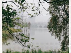 -飞来湖湿地公园