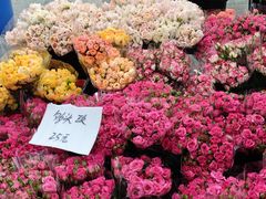 -三圣花乡旅游区