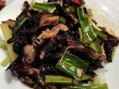 -滇越乘象云南餐厅(豆各庄店)