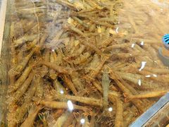 -阿毛饭店·宁波老字号(儿童公园旗舰店)