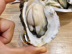 -爱蚝屋
