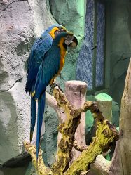 -Zoolung Zoolung动物主题公园(海信广场店)