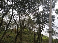 -重庆平顶山公园