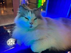 -暗楼·剧本杀·桌游