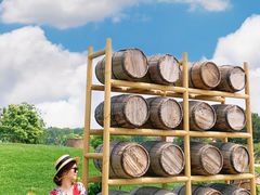 -安德鲁户外烧烤帐篷营地(马泉营店)