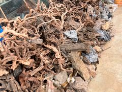 -山东柏宁水族批发广场