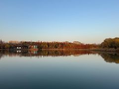 -昆山城市生态森林公园