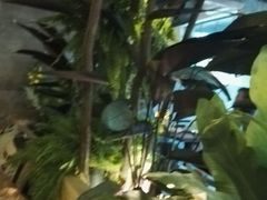 -ZooYoo佐佑咖啡(鼓楼店)