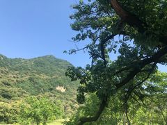 -都江堰石锅鱼