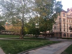 -普林斯顿大学