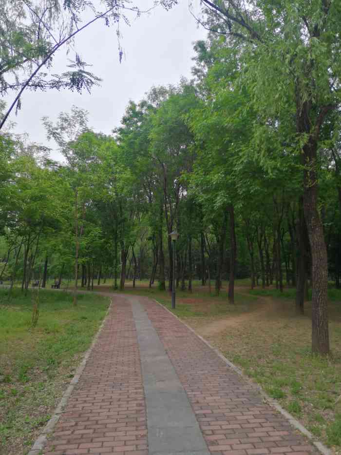 黄草湾郊野公园-"是大屯附近的宝藏公园没错啦说宝藏的原因.