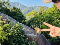 -狮子山郊野公园