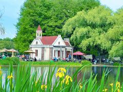 -上海共青森林公园