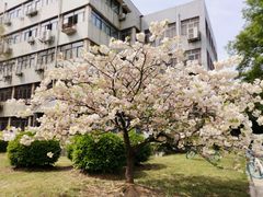 -安徽大学(龙河校区)