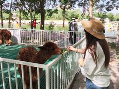 -水上乐园·欢乐世界