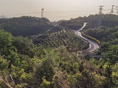 -五龙城郊森林公园