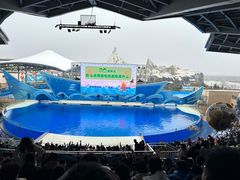 -上海海昌海洋公园