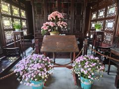 -上海醉白池公园