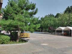 -南宫五洲植物乐园