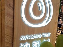 -油梨树AVOCADO TREE(嘉里中心店)